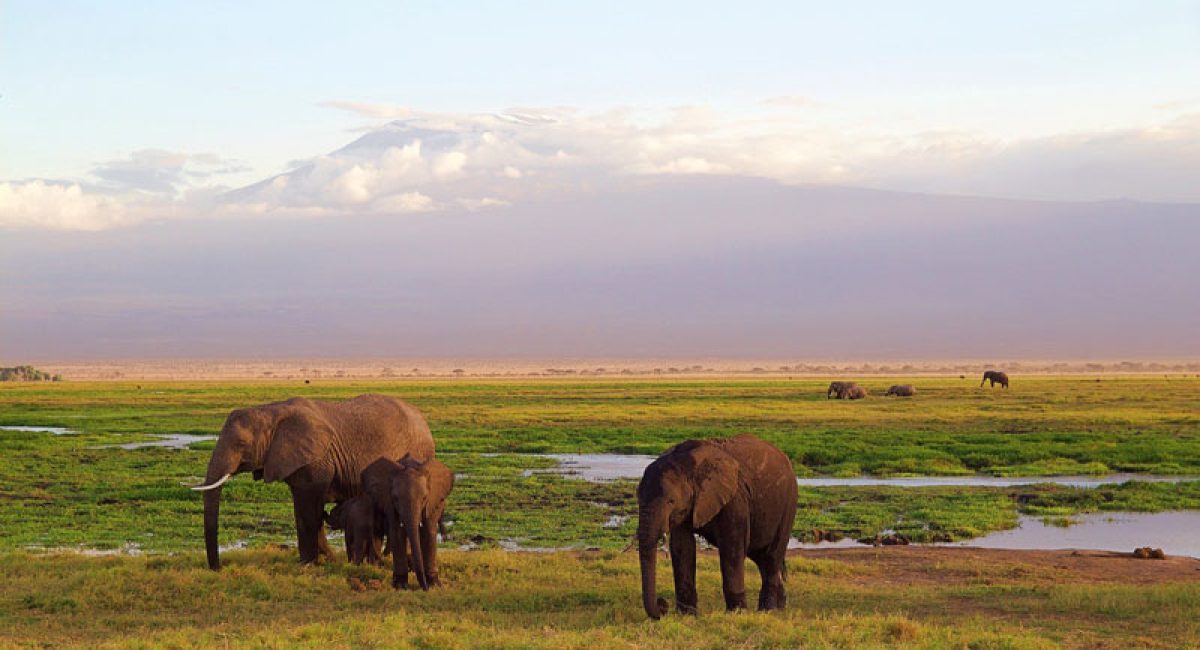 What you need to know before traveling to Kenya