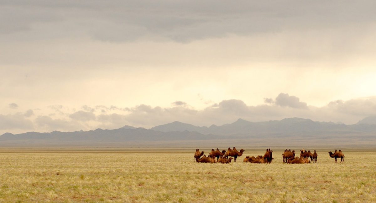 Why 2023 is the year to visit Mongolia