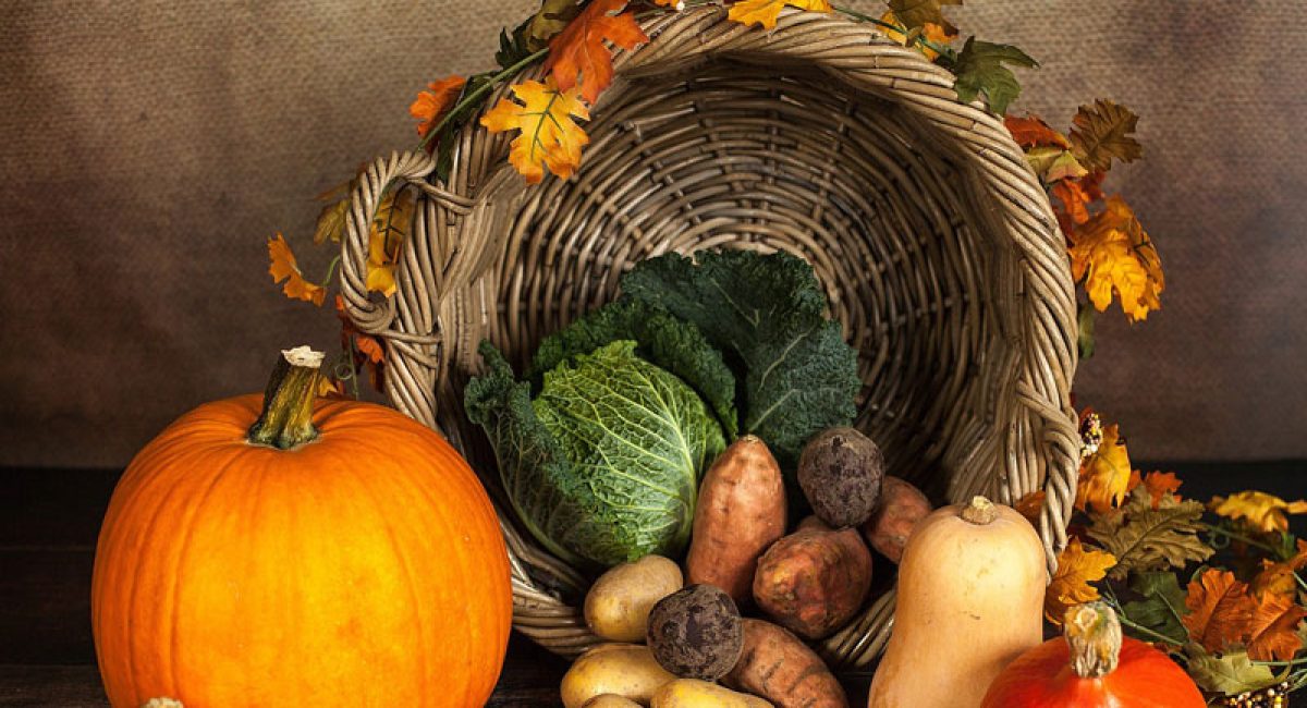 Thanksgiving Travel: Tips to Stay Healthy