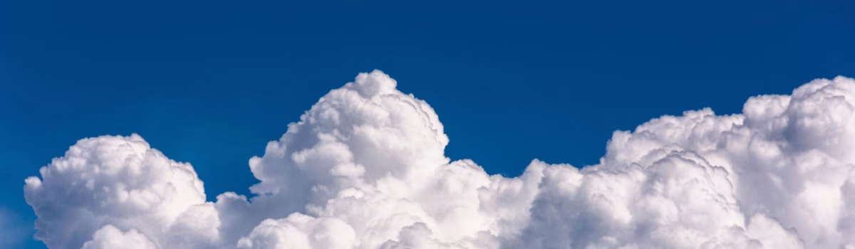 Climate+: Purpose & Prosperity in an Unprecedented World