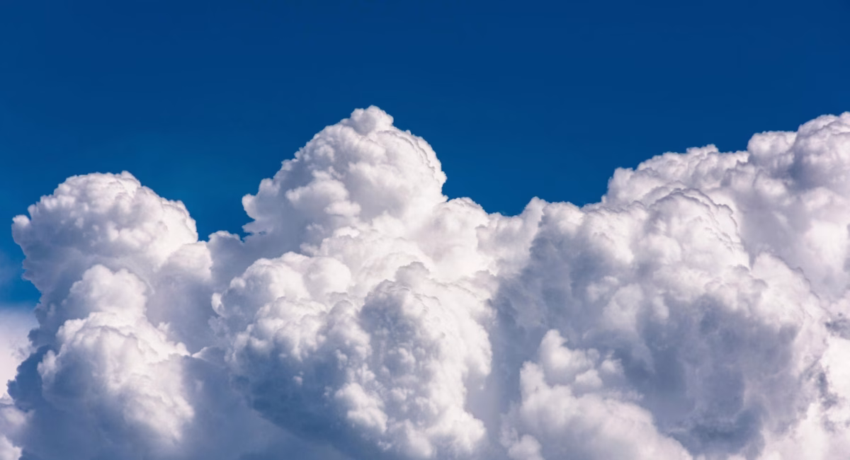 Climate+: Purpose & Prosperity in an Unprecedented World