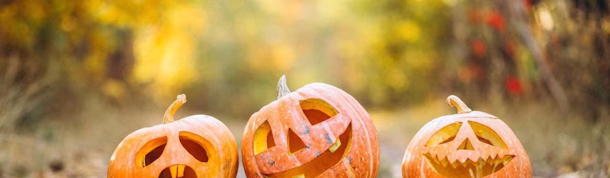 The History of Halloween: Why We Celebrate the Haunted Holiday