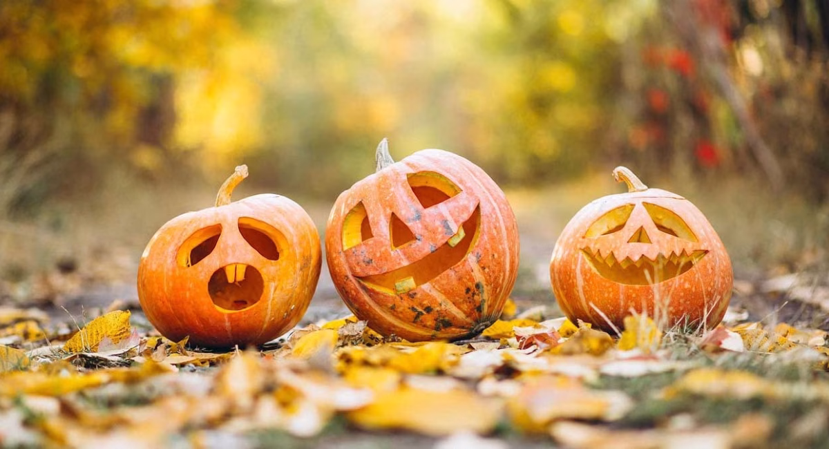The History of Halloween: Why We Celebrate the Haunted Holiday