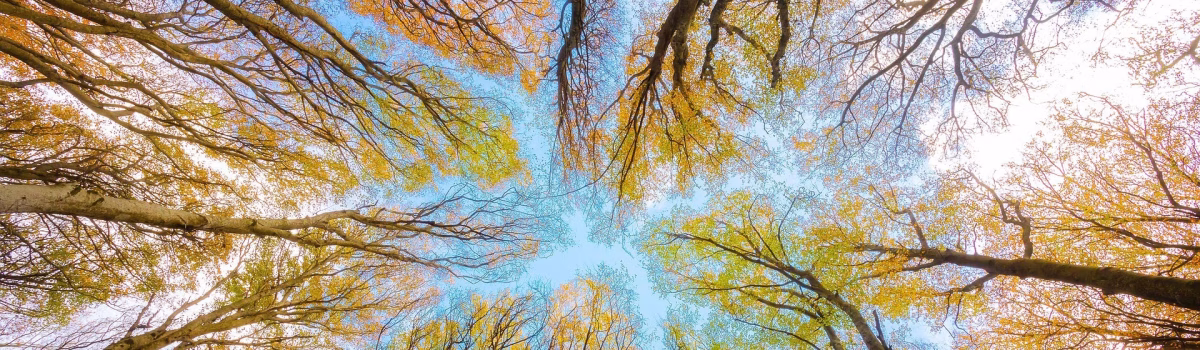 Amplify Your Legacy: with Globe Aware founder Kimberly Haley-Coleman 