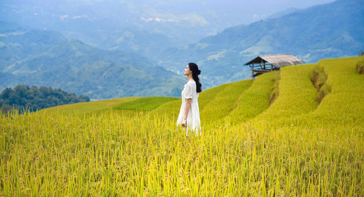 Mexico Joins US, Canada, UK, Japan, Italy, France and Vietnam in Shaping 2026 Travel Trends as Rising Demand Shifts Toward Underrated Destinations With Natural Beauty and Authentic Cultural Experiences