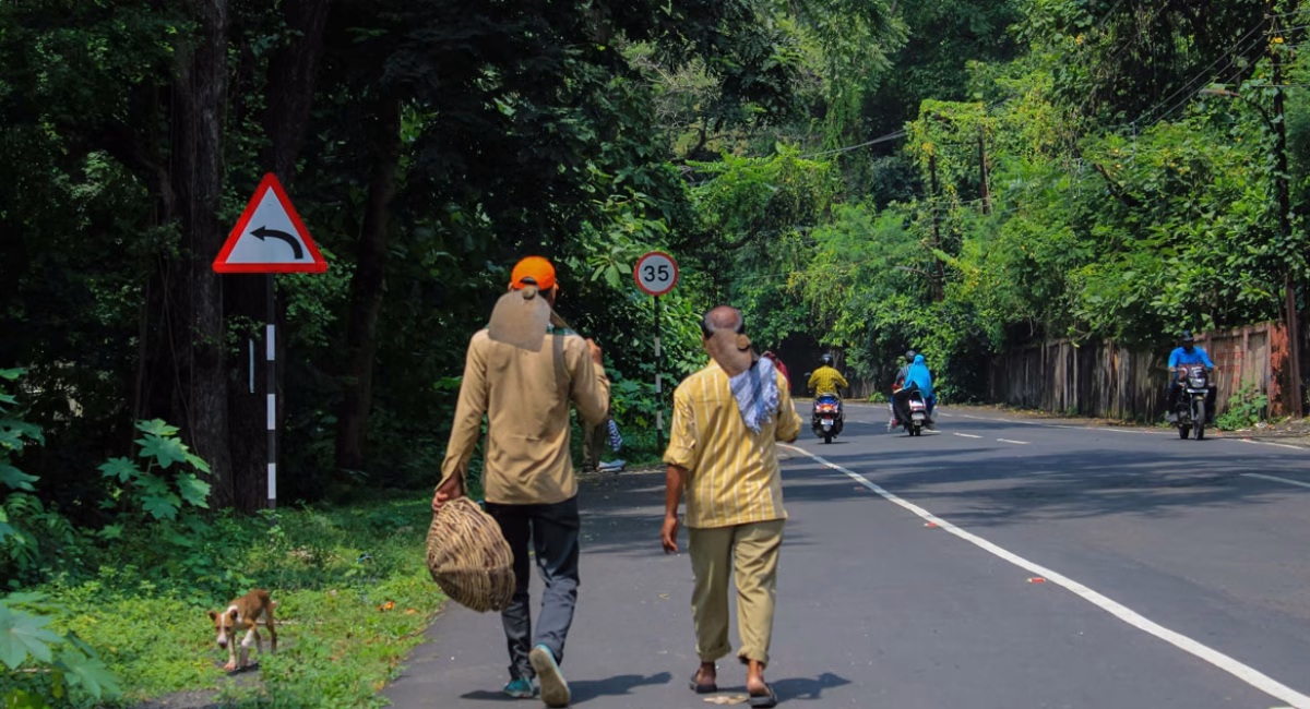 Sustainable Volunteer Travel: How to Ensure Your Trip Creates Long-Term Good