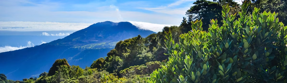 A Deep Dive into Volunteering in Costa Rica