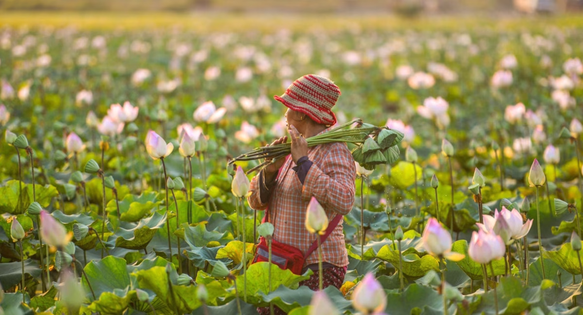 Cambodia Volunteer Vacation: Experience Meaningful Travel in Siem Reap